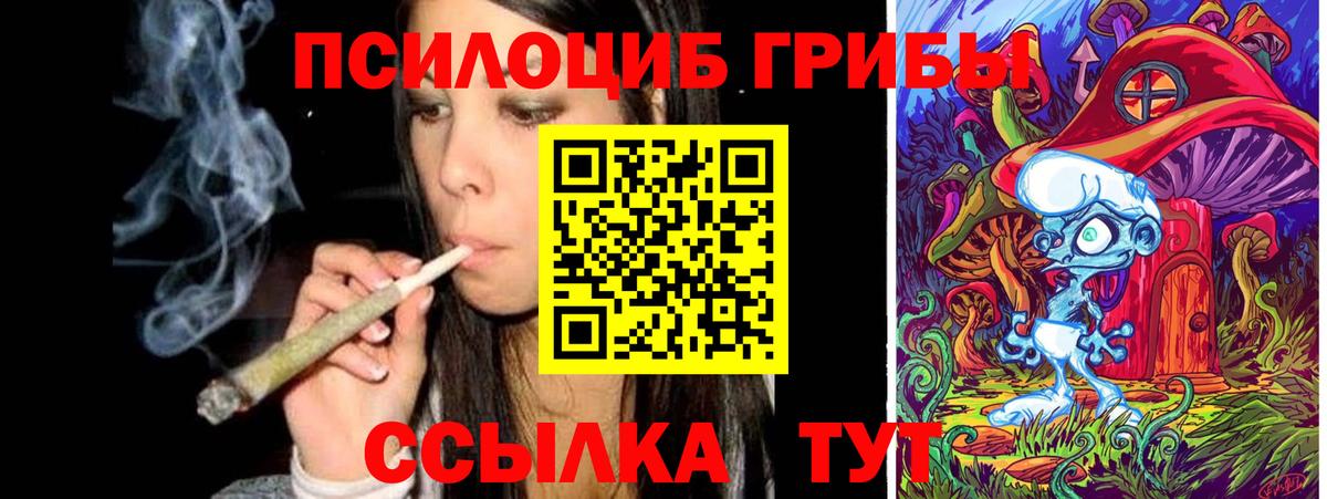 Галлюциногенные грибы прущие грибы Беслан