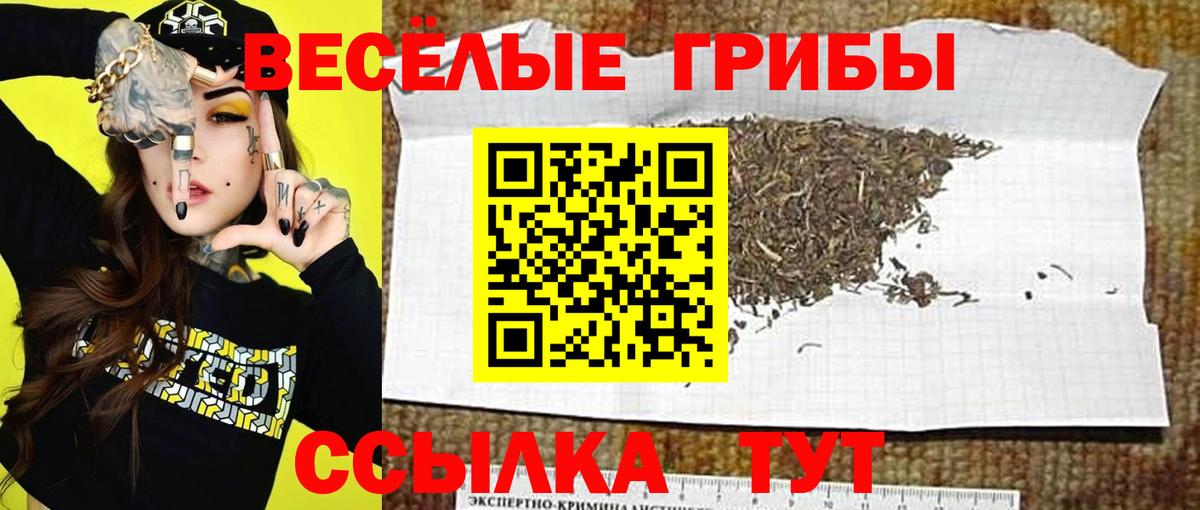 Кодеин Беслан