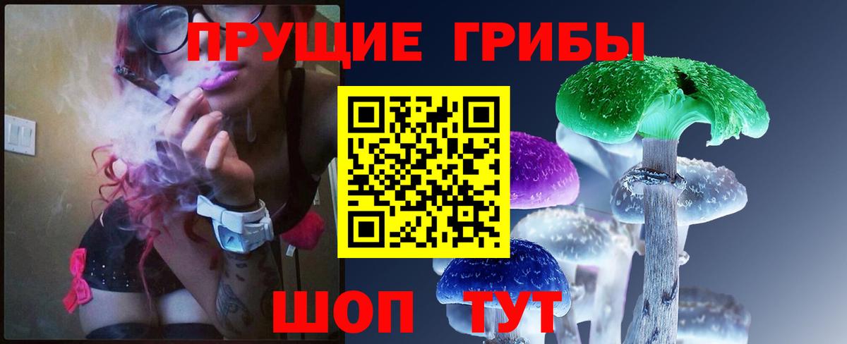 Псилоцибиновые грибы Psilocybe  Вход с VPN  Беслан  Псилоцибиновые грибы прущие грибы 