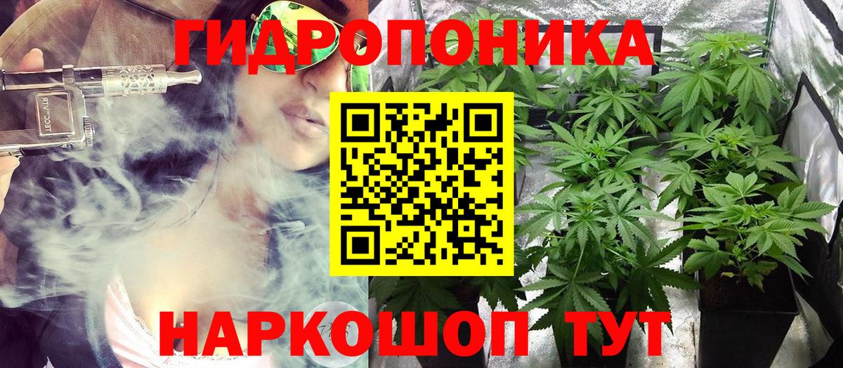 Беслан  Шишки марихуана план  Бошки марихуана VHQ  Бошки марихуана MAZAR  Шишки марихуана AK-47  Вход с VPN 